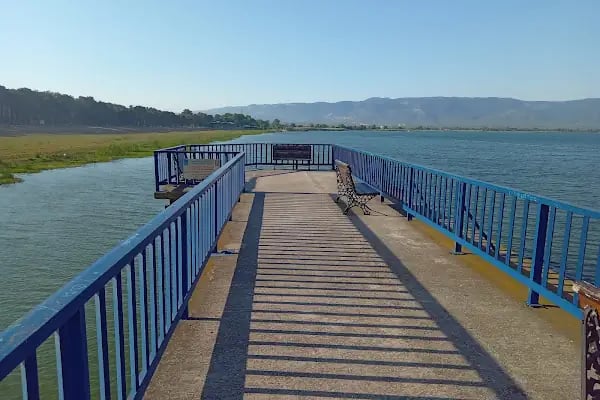 bursa Orhangazi Çamlıgı Piknik Alanı - Resim 11