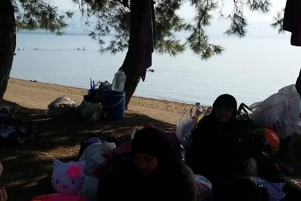 bursa Orhangazi Çamlıgı Piknik Alanı - Resim 14