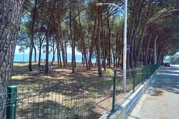 bursa Orhangazi Çamlıgı Piknik Alanı - Resim 4