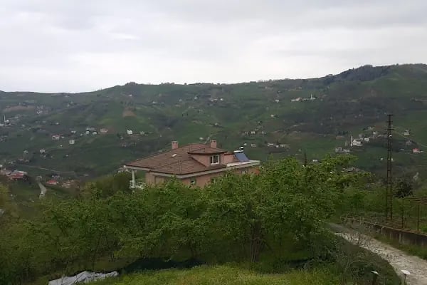 Kıran Camii - Resim 3