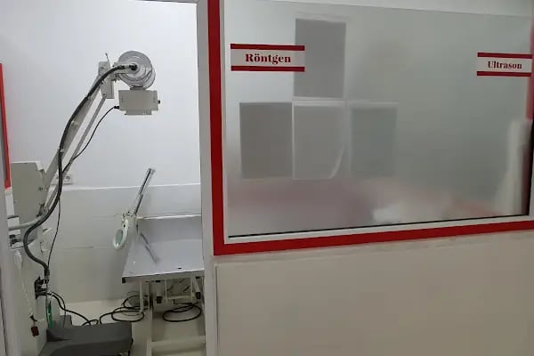 Alanya Veteriner Kliniği - Resim 9