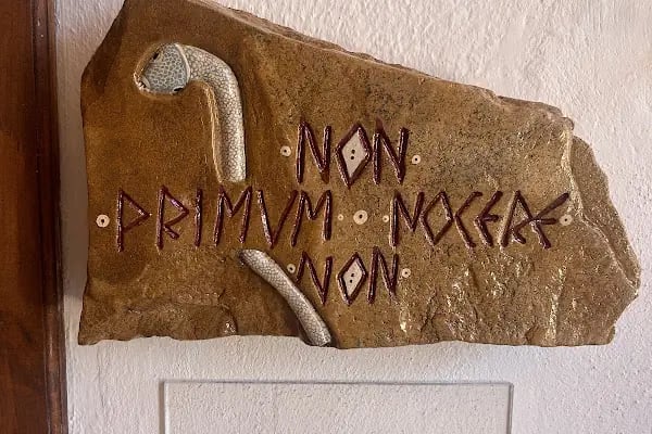 İlter UZEL Tıp ve Diş Hekimliği Müzesi - Resim 19