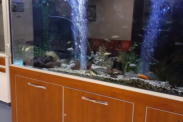 Özel Büyükşehir Hastanesi - Resim 6