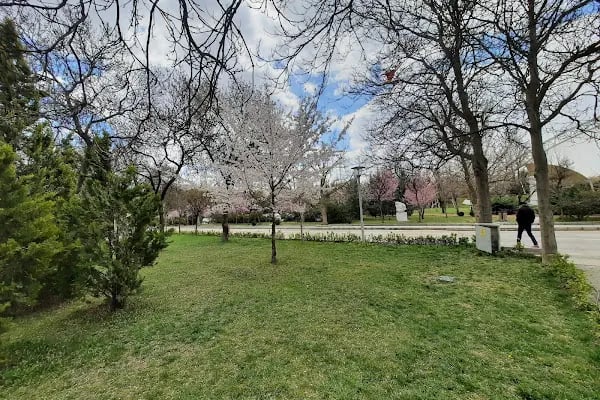 Altınsu Türk Hamamı & Yüzme Havuzu - Spa - Resim 14