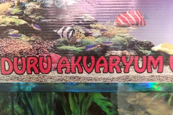 DURU PETSHOP - Resim 12