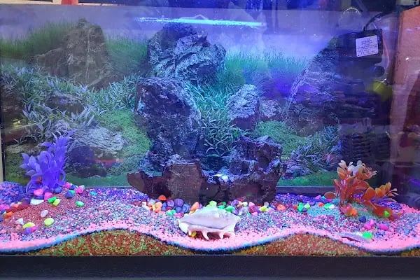 DURU PETSHOP - Resim 14
