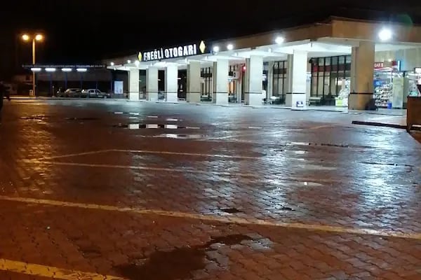 Ereğli Taksi OTOGAR Konya - Resim 7