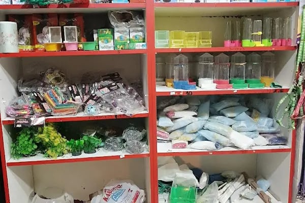 Topçuoğlu Akvaryum Ve Kuş Galerisi - Resim 10