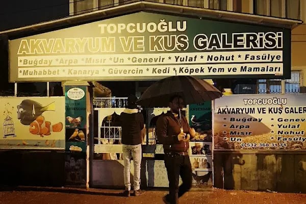 Topçuoğlu Akvaryum Ve Kuş Galerisi - Resim 1