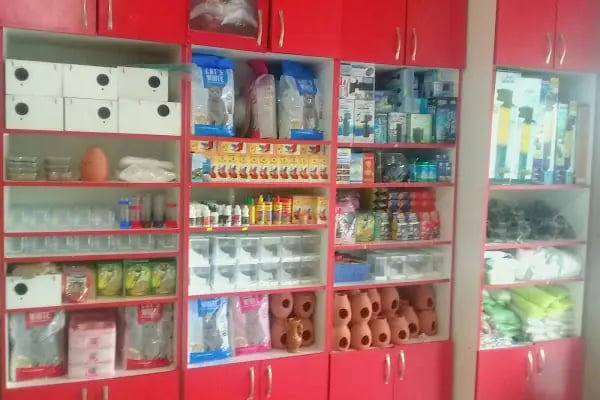 Topçuoğlu Akvaryum Ve Kuş Galerisi - Resim 8