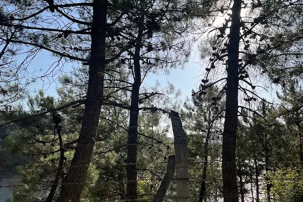 Pexpark - Renkli Kaydırak - Resim 13