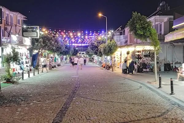Mila Apart Sarıgerme - Resim 11