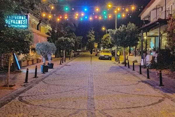 Mila Apart Sarıgerme - Resim 14