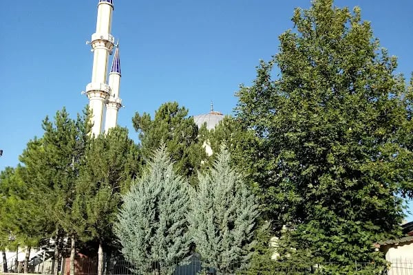 Büğdüz Köyü Cami - Resim 3