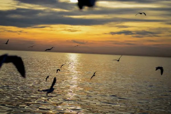 Terso Beach - Resim 12