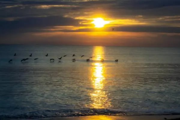 Terso Beach - Resim 20