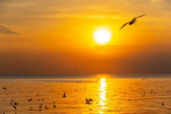 Terso Beach - Resim 5