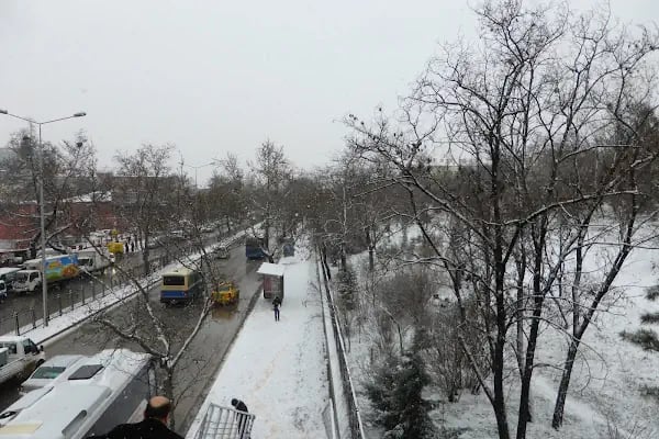 Ziraat Parkı - Resim 12