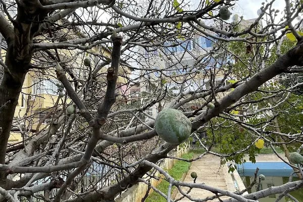 Alanya Belediyesi Cumhuriyet Çocuk Parkı - Resim 10