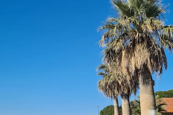 Şakran, Aliağa/İzmir - Resim 2