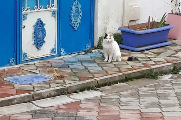 Hayal Et Güzel Sanatlar Merkezi - Resim 19