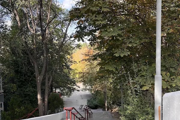 Portakal Çiçeği Parkı - Resim 14