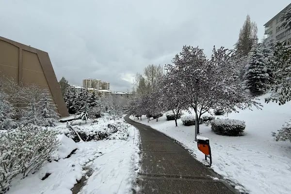 Portakal Çiçeği Parkı - Resim 12
