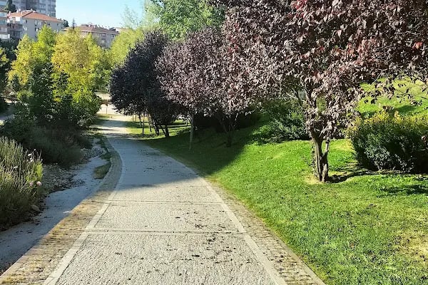 Portakal Çiçeği Parkı - Resim 3