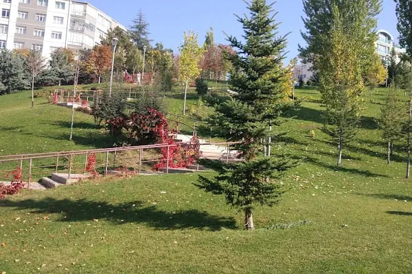 Portakal Çiçeği Parkı - Resim 8