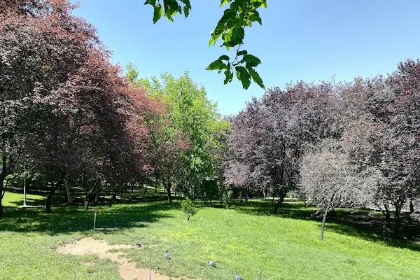 Portakal Çiçeği Parkı - Resim 2