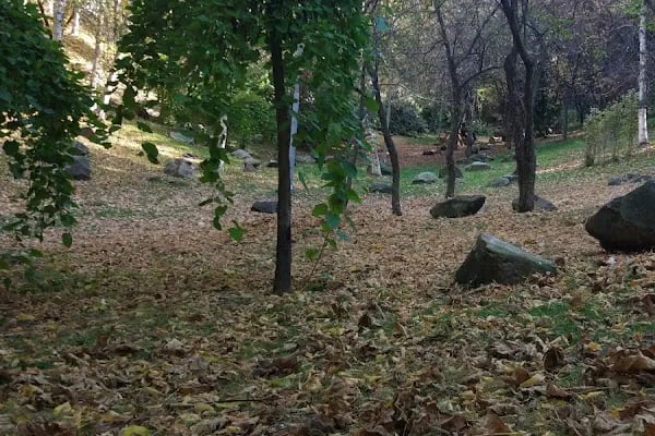 Portakal Çiçeği Parkı - Resim 4