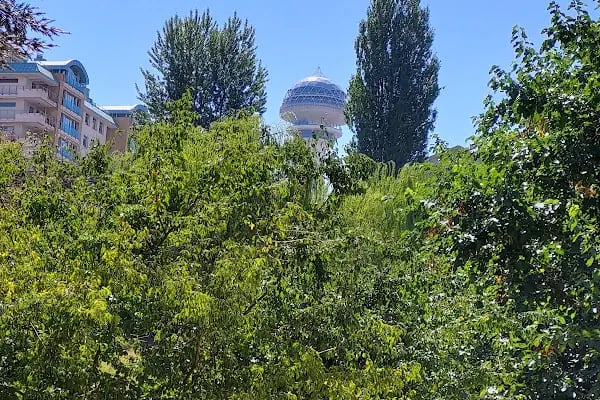 Portakal Çiçeği Parkı - Resim 9