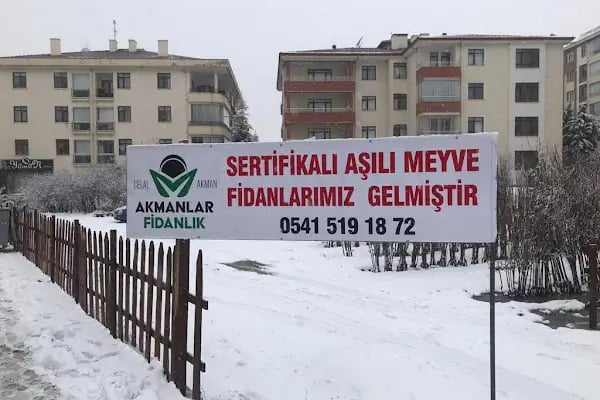 AKMANLAR PEYZAJ - CELAL AKMAN - Resim 3