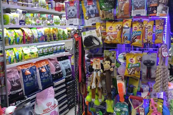 Ozzi Petshop Bağcılar - Resim 12