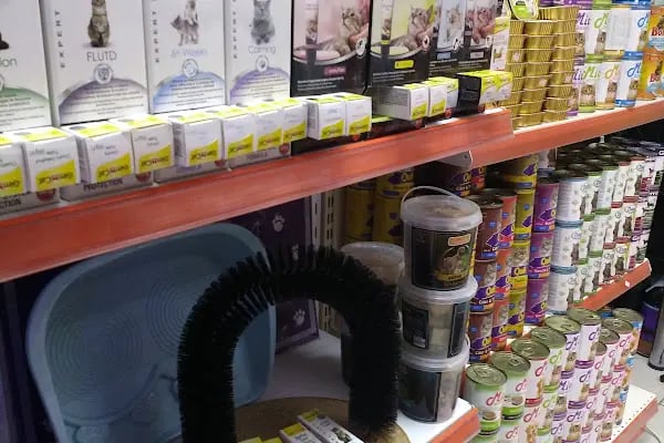 Ozzi Petshop Bağcılar - Resim 8