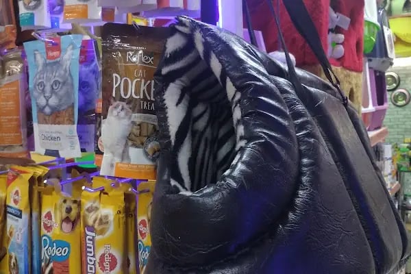 Ozzi Petshop Bağcılar - Resim 16