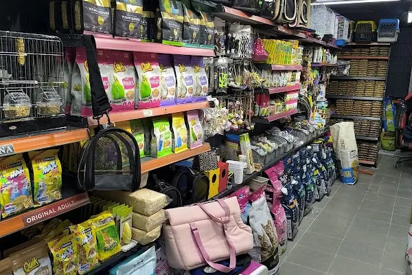 Ozzi Petshop Bağcılar - Resim 2