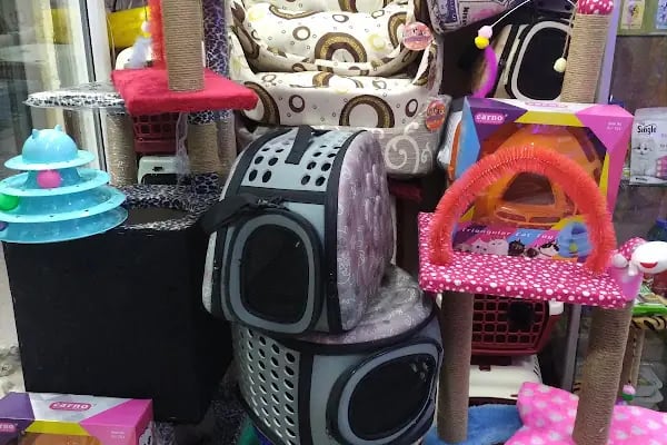 Ozzi Petshop Bağcılar - Resim 7