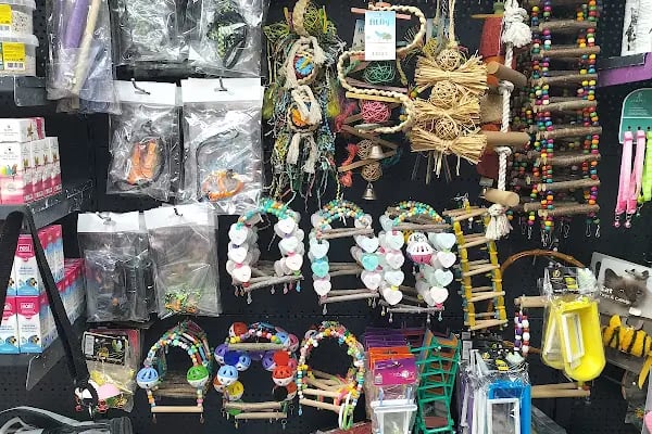 Ozzi Petshop Bağcılar - Resim 18