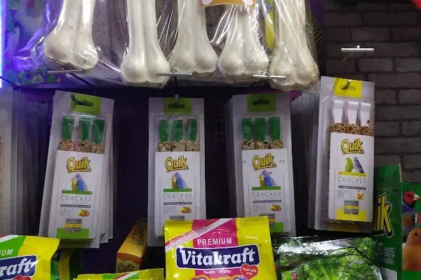 Ozzi Petshop Bağcılar - Resim 4