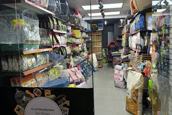 Ozzi Petshop Bağcılar - Resim 20
