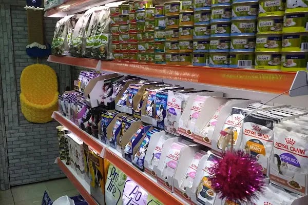 Ozzi Petshop Bağcılar - Resim 14