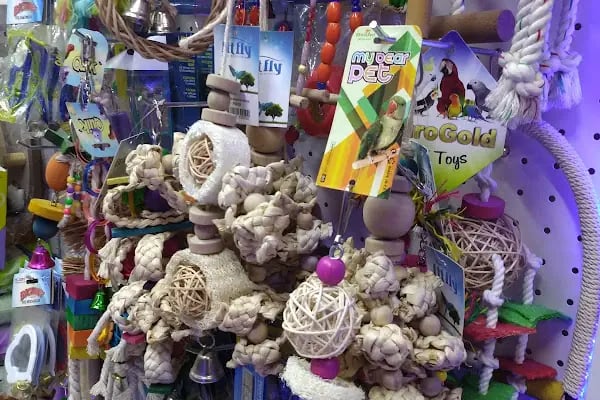 Ozzi Petshop Bağcılar - Resim 9