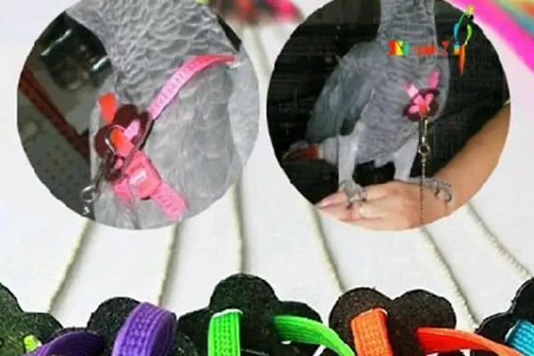 Ozzi Petshop Bağcılar - Resim 10