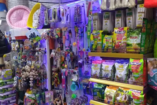 Ozzi Petshop Bağcılar - Resim 6