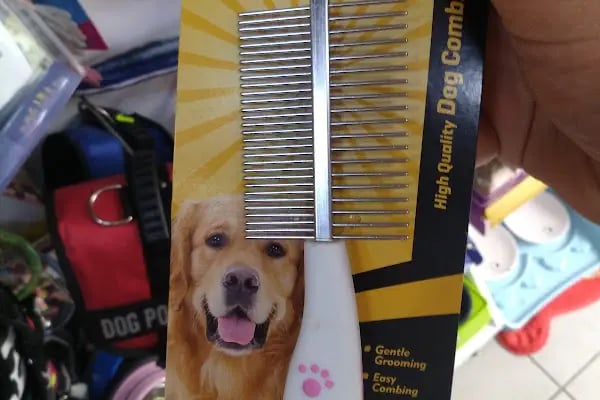 Ozzi Petshop Bağcılar - Resim 1