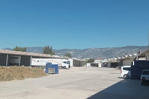 Beymelek Sebze Ve Meyve Toptancı Hali - Resim 14