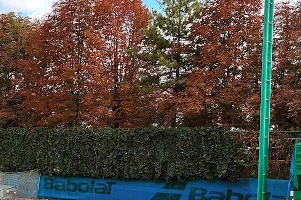 Tennis Clinic - Club - Resim 6