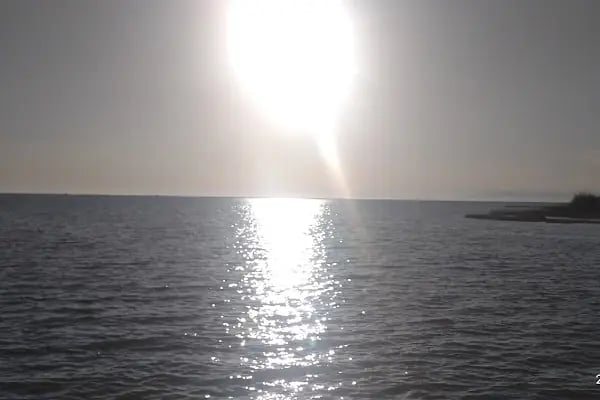 Ege Hotel - Resim 4