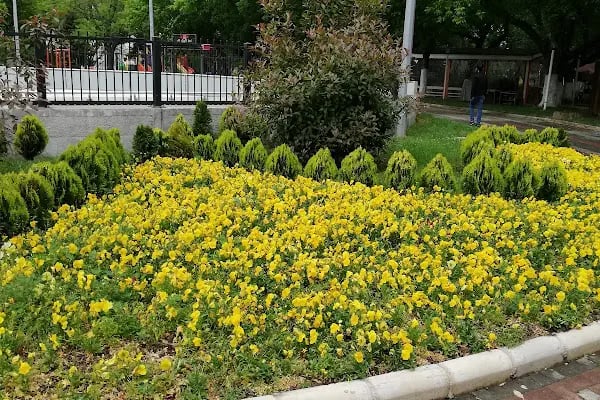 Ters Ev Bursa - Resim 15